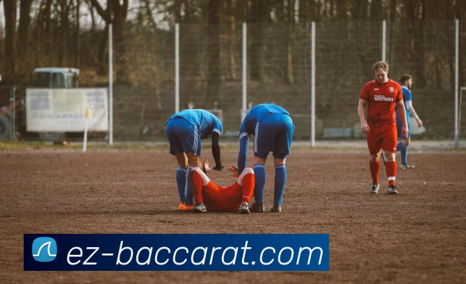 AG百家乐官网APP 封面图